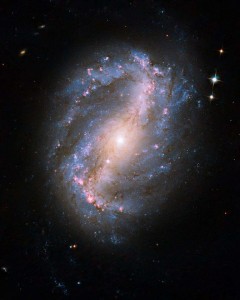Barred spiral galaxy NGC 6217 (NASA/ESA/Hubble SM4 ERO)
